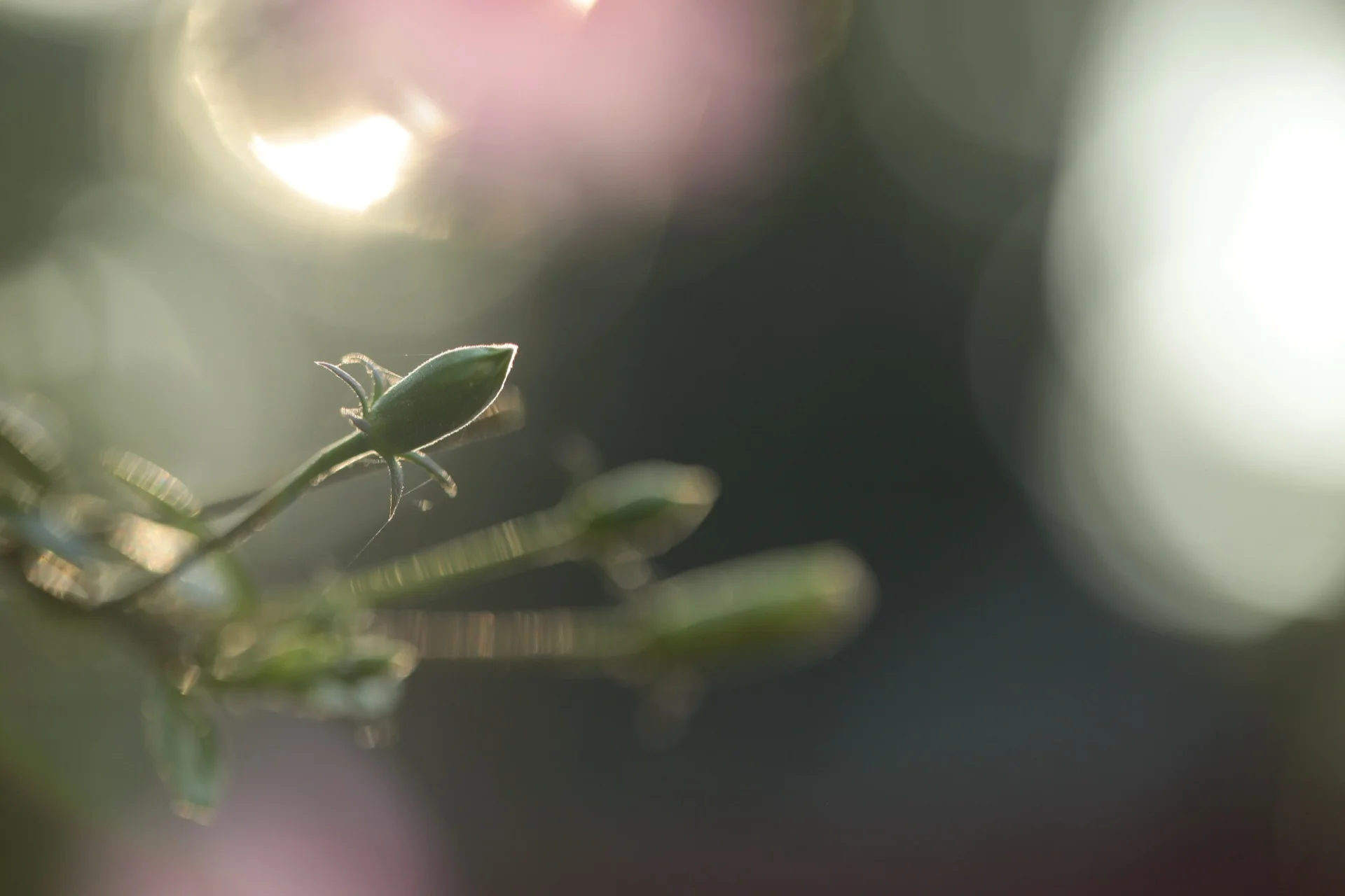 Investment & Service Structure